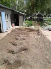 Rose bed installation