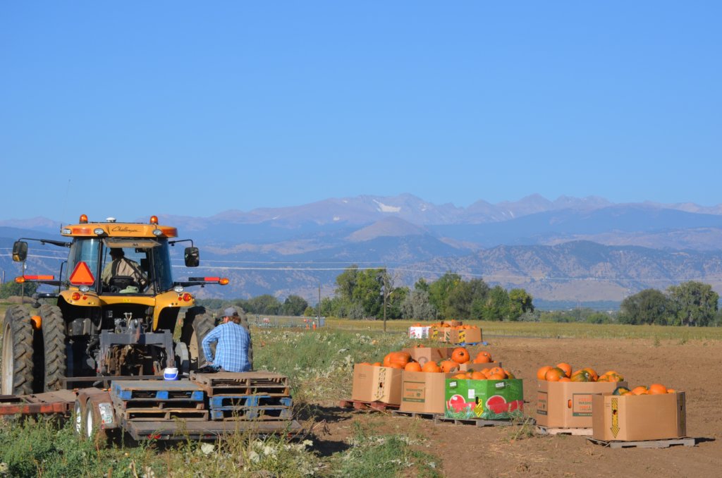 Help Provide Labor for Family Farms in Colorado