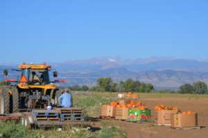 Help Provide Labor for Family Farms in Colorado