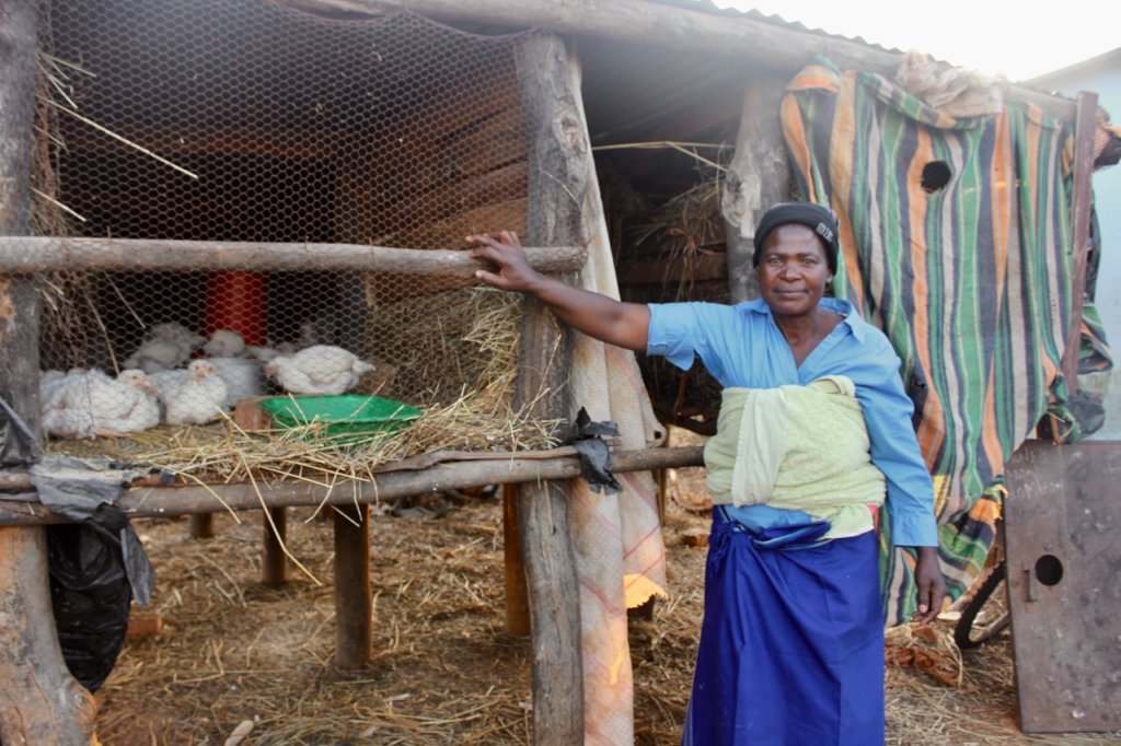 Restore 600 rural women's livelihoods in Zimbabwe