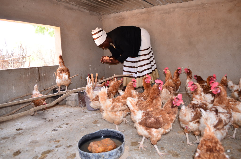 Restore 600 rural women's livelihoods in Zimbabwe