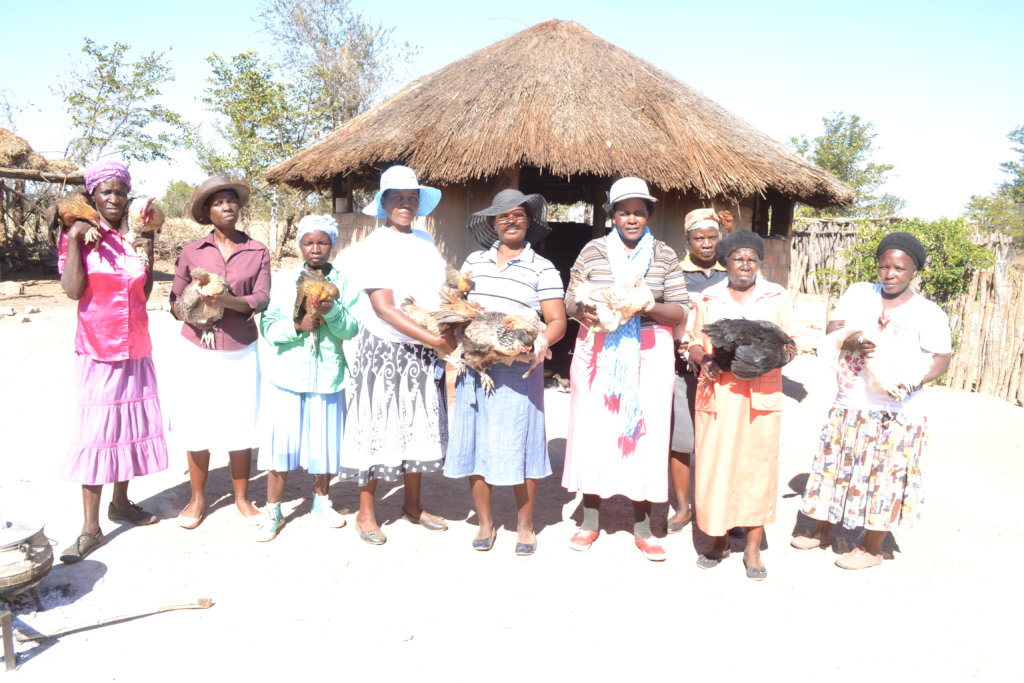 Restore 600 rural women's livelihoods in Zimbabwe