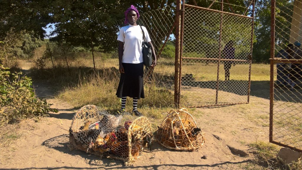 Restore 600 rural women's livelihoods in Zimbabwe