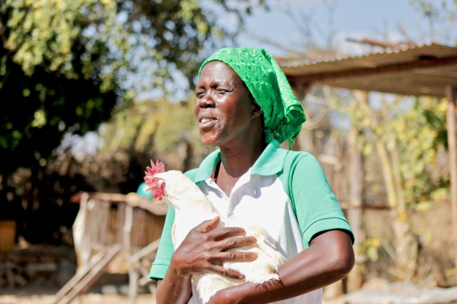 Restore 600 rural women's livelihoods in Zimbabwe