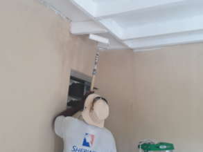 Mold remediation
