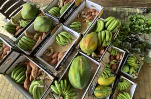 Packing veggies during Covid