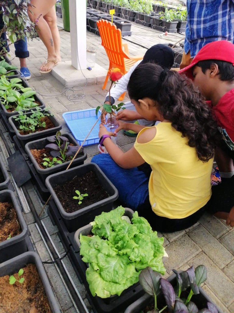 Support 150 Mauritian Youth Agripreneurs