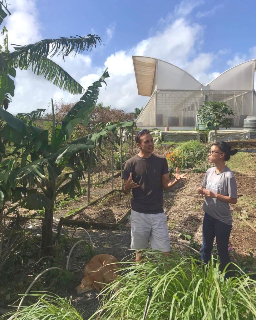 Support 150 Mauritian Youth Agripreneurs
