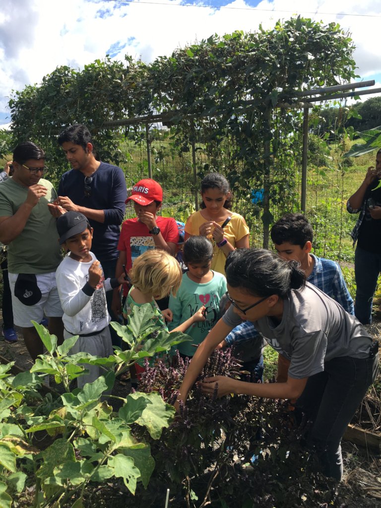 Support 150 Mauritian Youth Agripreneurs
