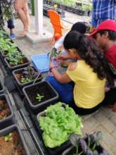 the capillary experiment