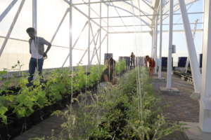 Young volunteers at the farm