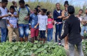 Support 150 Mauritian Youth Agripreneurs