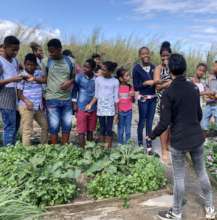 Support 150 Mauritian Youth Agripreneurs