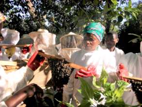 Training beekeepers in Chimanimani