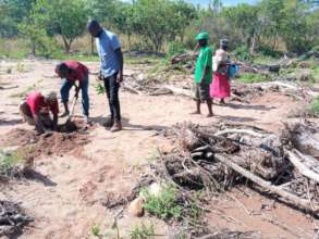 Planting the seedlings