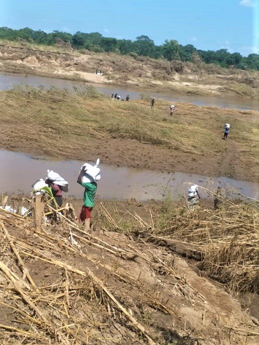 Help 5 communities restore forests in Mozambique