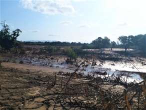 After the floods