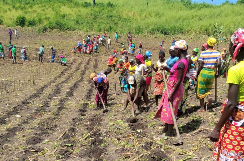 Help 5 communities restore forests in Mozambique