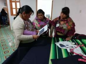reviewing the instruction sheet to make the sample