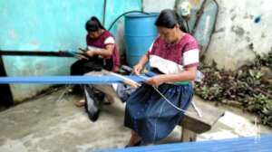 procesos productivos