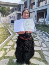 entrega de constancias