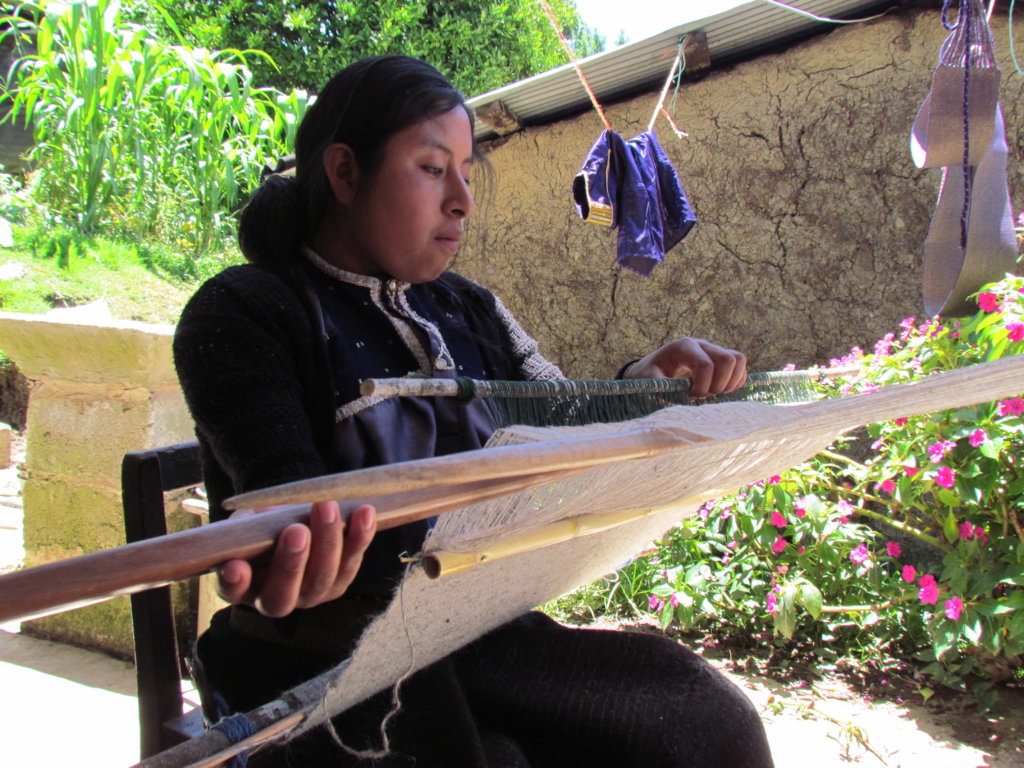 Pathways to autonomy: tzotzil women's empowerment