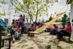 Pathways to autonomy: tzotzil women's empowerment