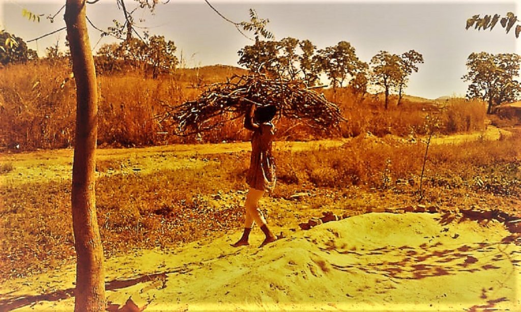 Connect 500 women to electricity in Zimbabwe