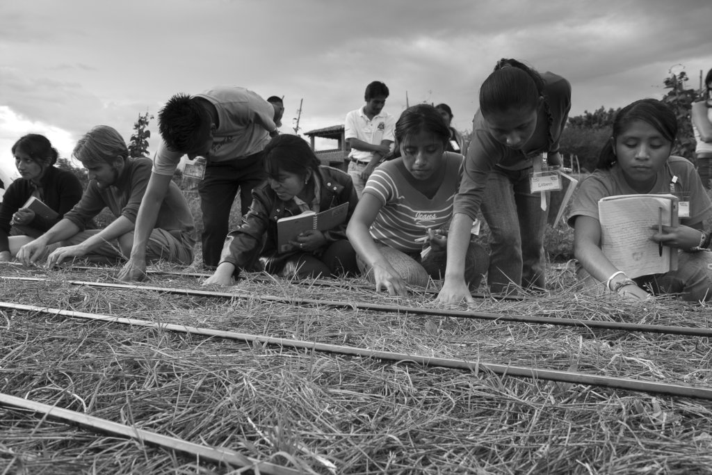 Empowering 50 rural young people in Oaxaca, Mexico
