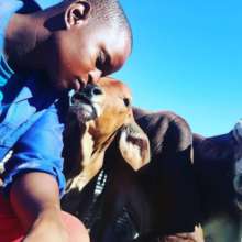 Kitsoyaone on his cattle farm