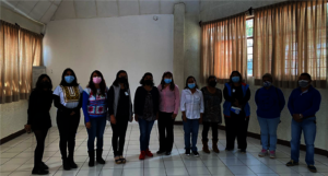 Meeting of the Women's Political Rights Observator