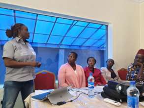 Project leader giving the project presentation