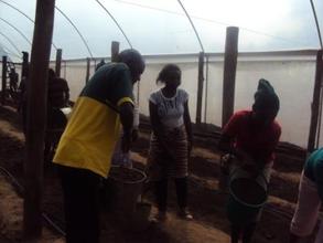 Greenhouse going up