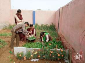 Nutri Garden In school