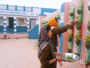 Green wall in school