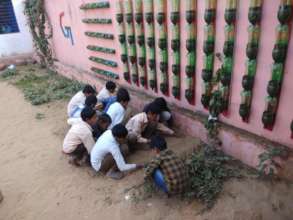 Space farming in school