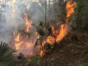 Fire raging / El incendio