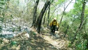 Fighting the fire - Combatiendo el incendio