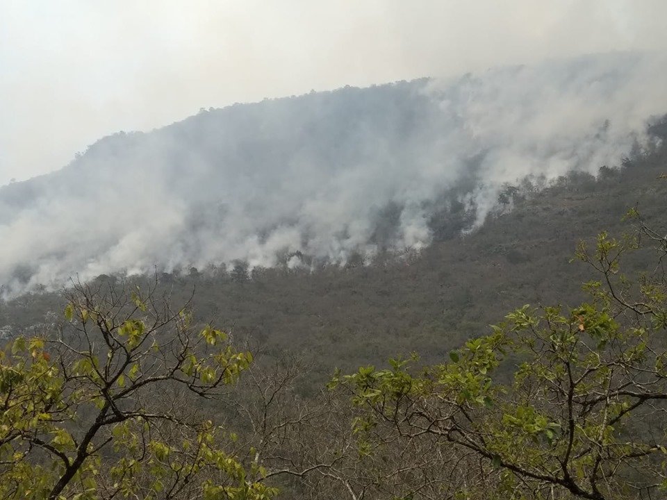 Train Local Brigades to Fight Forest Fires in MX
