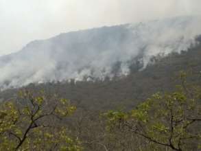 The extension of the forest fires
