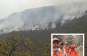 Train Local Brigades to Fight Forest Fires in MX