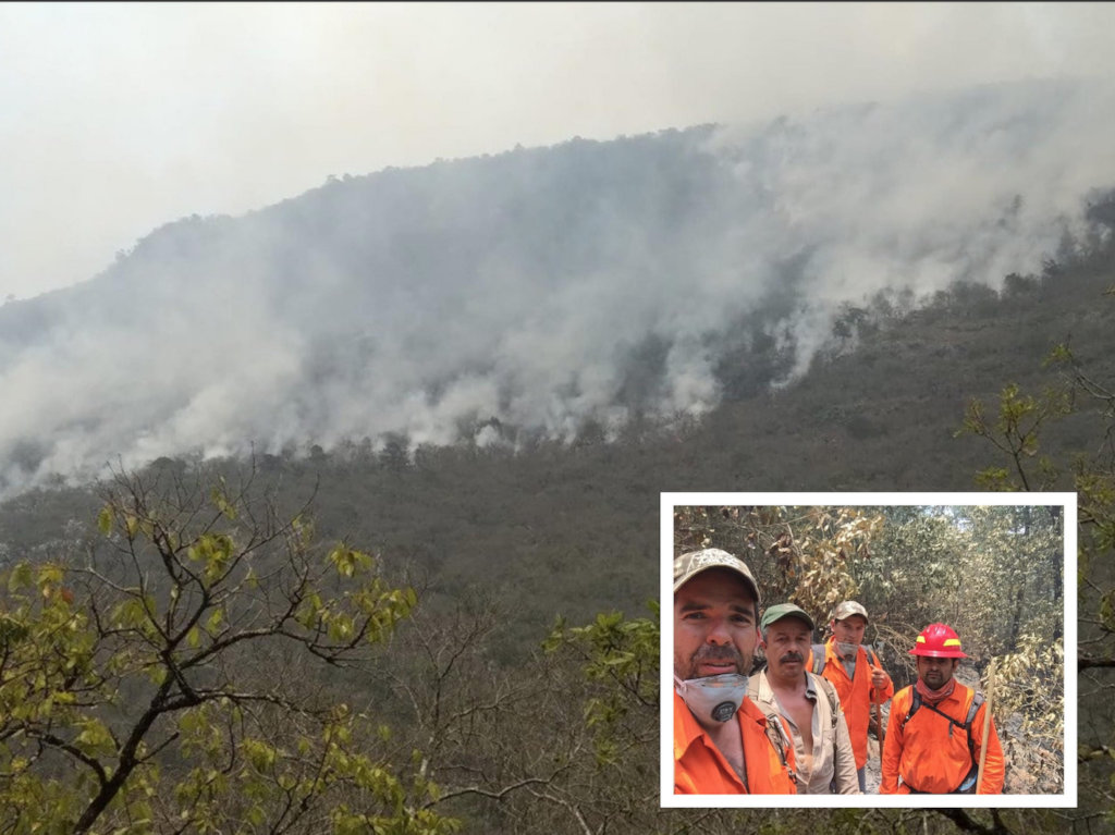 Train Local Brigades to Fight Forest Fires in MX