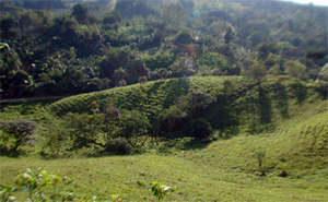 Future corridor site at Finca Salvaje