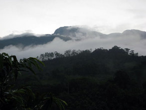 Panoramic view at Finca Salvaje