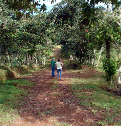 Getting Connected at Finca Salvaje, Costa Rica