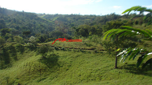 Getting Connected at Finca Salvaje, Costa Rica