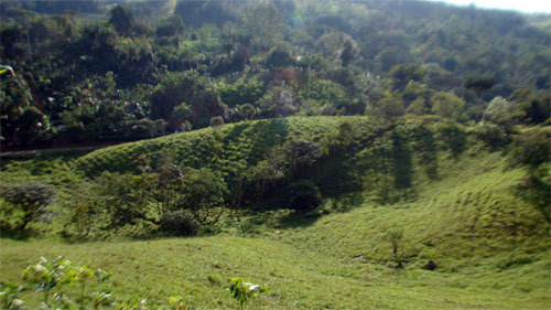 Getting Connected at Finca Salvaje, Costa Rica