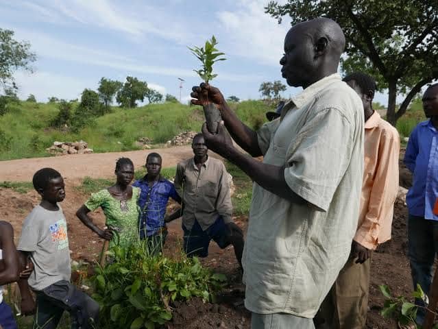 Rwamwanja Refugee Settlement Food Forest
