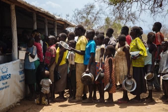 Rwamwanja Refugee Settlement Food Forest
