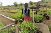 Rwamwanja Refugee Settlement Food Forest